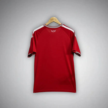 2026 Wales Home Kit